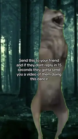 Ich will nicht 😔 #komtanzen #ichwillnicht #wolf #dancing #forest #sendthis #friend #bsf #funny #meme #fyp #foryou #foryoupage #foryourpage #rixiarz 