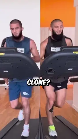 Khamzat “Borz” Chimaev and Khamzat “Borz” Maaev 🤯🧬🐺. #mmatok #khamzatchimaev #conspiracytiktok 