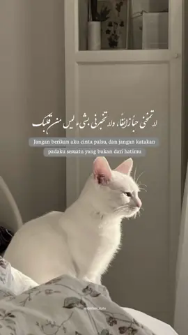 #quotesislamic🥀 #syairarab #katacinta #quotesaesteatic #fyp 