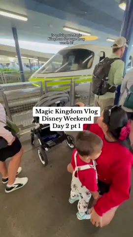 Replying to @Ingrid First time at Magic Kingdom with a toddler ✨🏰🐭 #toddlertips #Vlog #disney #vlog #disneyvacation #disneyvlog #LifeOnTikTok #tiktokpartner #youngmom #toddlermom #travelingwithkids #travelingwithtoddlers #f1 #f1drivetosurvive 