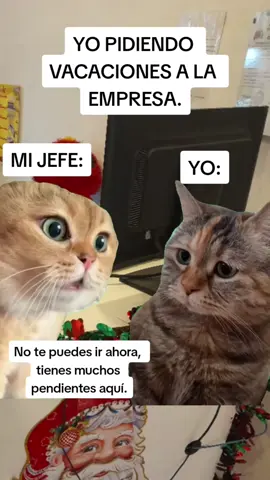 YO PIDIENDO VACACIONES EN LA EMPRESA ...  #viral #gatosvirales #tendencia #lentejas #sigueme #soloeshumor #noinfringelasnormas #tendencia 