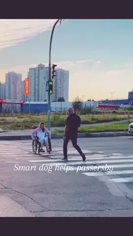 Smart dog helps passersby#soldierscominghome #cominghomesoldier #surprisefamily #surprisefamilyreaction #cominghomesurprise #usaarmy #surprisesurprise #militaryusa 