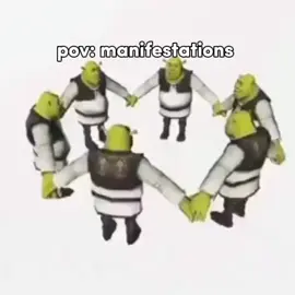 #Meme #MemeCut #CapCut #fypシ #viral #shrek 