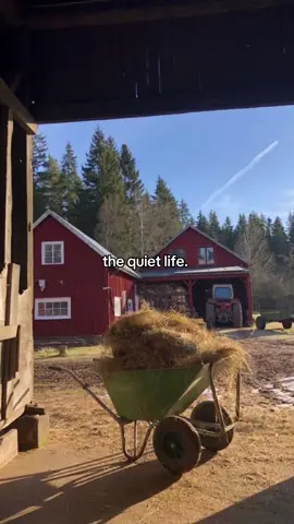 i think we’ve all come to terms with that this is what we want…  #farmlife#ranchlife#cowgirl#farmgirl#farm#horses#trucks#f150#dreamlife#western#punchycowgirls#barndominium#westernlove#dodge#chevy#country#countryboy#countrygirl#texas#westernwear#westernstyle#calmlife#barnlife 