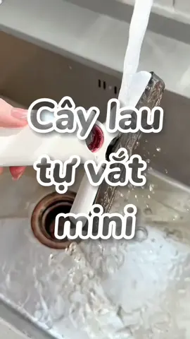 Cây lau tự vắt mini #caylautuvatmini #caylaunhathongminh #caylaumini #caylaunhabepmini #caylaunhabep #caylautuvat #caylau 