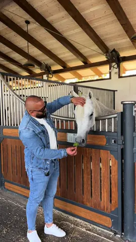 #ابوادم #tiktoklooks #خيول_عربية_اصيلة❤️🐎🧿 #ayal #ARIELA #ARABIANS 
