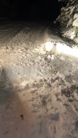 Mekanik🤣 #bmw #drift #winterpeklo #bmwe46 #snowdrift #bmwdrifting 