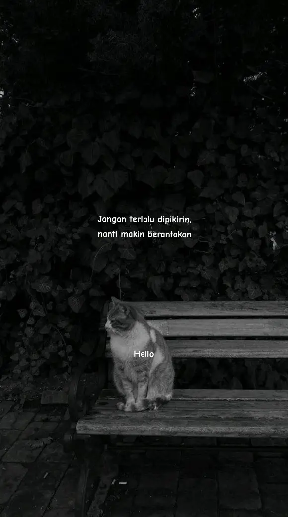 Okeh:( #quotes #story #katakata #quotesindonesia #fypシ #sad #sadstory #storywa #fyp #foryou #sadvibes #sadsong #sadness #reels #instastory #jowopride #status 