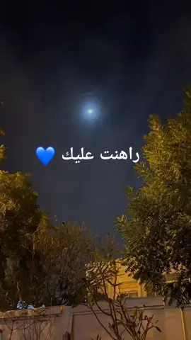Rahent alaek  #CapCut #nancyajram #rahentaaleik #templatecapcut #template #arabic #fyp #foryou 