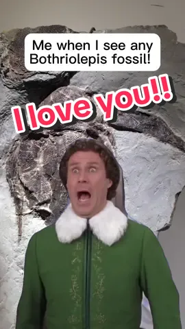 When I met my undergrad paleontology professor more than a decade after graduation he imediately said “Oh yeah, you liked Placoderms!” ##paleontology##placoderms##iloveyou##willferrell##capcut##elf