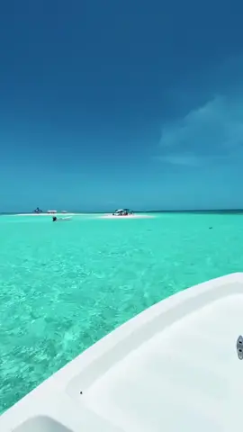 Así son la playas de Venezuela 🏝️ 📍 Los Roques 🎥 caribenegra/IG