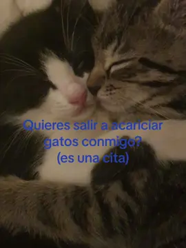 #CapCut porfi 🥺🥺 #CapCut #kanyewest #like #nomedejenenflop #fyp #videosdetexto #paradedicar #besemonostodos #robloxfyp @TikTok 