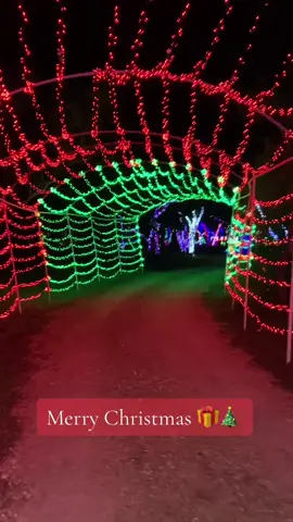 #christmas #happynewyear #lights 