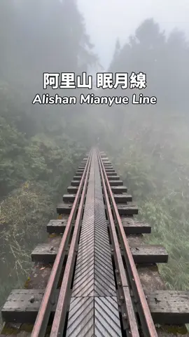 嘉義阿里山眠月線 #taiwan #taiwantravel #alishan #阿里山 #眠月線 #步道 
