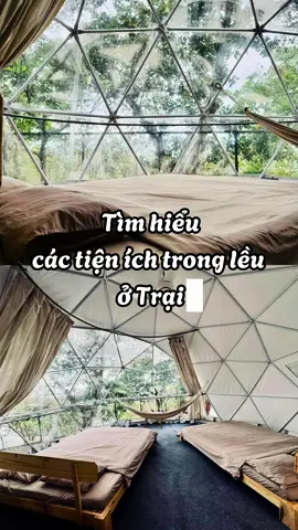 - Trại ơi, trong lều của Trại có những gì vậy ạ?  - Dạ Trại giải đáp cho các bạn đây ạ 🤗 #tropicaleglamping #glampinggansaigon #glampingdongnai #glampinghotrian #tiktoktrend #trendingnow #camtraidongnai 
