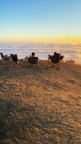 Plaskett Ridge in Big Sur 😍🥹 #bigsur #california #californiaadventure #californiadreaming #travel #traveltiktok #travelbucketlist #traveltok #boondocking #vanlife 