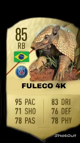 tatu, vulgo:fuleco jogando bola✨️⚽️ . . #fuleco2014 #futebol #musicadacopa #viral #tatubola #brasil @Abraham🌹✨️ 