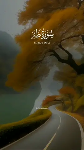 Surah Taha | Ahmad Khedr.                             #allah #zeealquran #quran #viral #fyp #alquran #recitation #tilawet #beautifulquranrecitation 