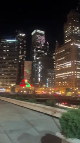No sound effects. I didn't realize the siren was so loud. Despite the noises, Chicago remains a beautiful city. #chicago #sounds #beatifulsecne #nightview 