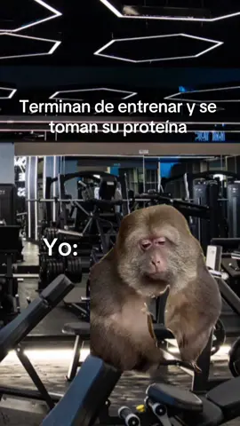 El platanito siempre ayuda 🤭 . #bio #gym #cuu #biogym #gymbro #gymrat #fit #pesas #gymmotivation #fitnessmotivation #bodybuilding #fitnesslife #sueñosymetas #creatina 
