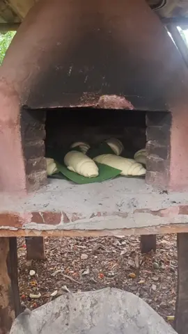 Esse pão tem cheiro de infância e de saudade! 🥖 O Petrúquio é o melhor lugar do mundo! 💙🐓🐎🐖🚜 📹@guilhermesilvaoficiial #coisaboa #antiguidade #noisesimpraone #folhadebana #paocaseiro #fornodebarro 