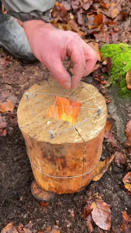 Survival Skills Using a KNIFE and the best STOVE #survival  #camping  #skills