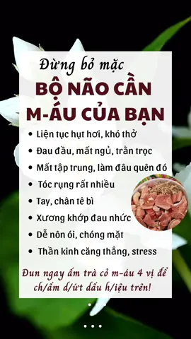 Đừng bỏ mặc Bộ não cần m-áu của bạn #meohay🇻🇳🇧🇷 #xuhuong2023tiktok❤️🌈✔️ #xuhuong #baithuocdangian #baithuochay #thuocnamsuckhoe 