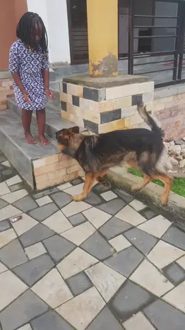 kanjagala embwa yange #fyp #foryou #funny #babiesoftiktok #babiesarecute 