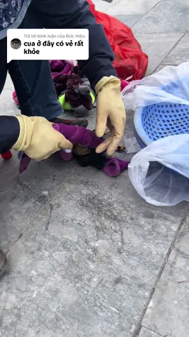 Trả lời @Đức Hiệu  của khoẻ nên phải trói bằng dây to và dấp nước không sợ đứt dây bạn ạ