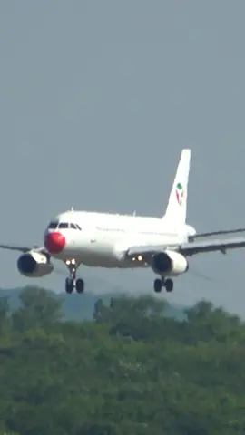 Red-nosed Danish Air Transport A320 (OY-JRK) arriving on 23L at Düsseldorf Airport.  #düsseldorf #airport #dat #danishairtransport #danish #airlines #airbus #a320 #airbusa320 #airbuslovers #aviation #planespotting #avgeek #aviationvideo #tiktokaviation 