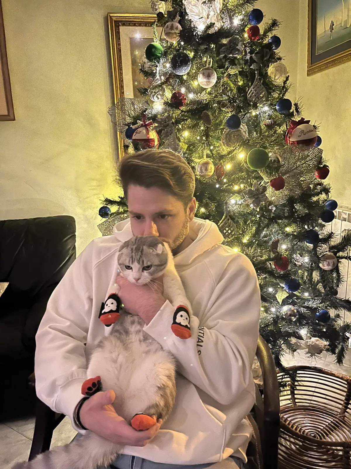 @Hugo  #christmascat #christmas #cute 