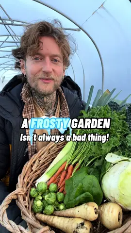 Some plants actually taste better after a frost 🌱❄️ here’s why...  We’ve just had our first frost here, so we are well and truly in winter gardening mode, but it’s not all bad.  Plants such as brussels sprouts, winter spinach, kale, cabbage, parsnips, carrots and even winter leeks all taste sweeter after a frost or two and thats because the plants respond the cold temperatures by converting their starches to sugars, this acts like anti-freeze, protecting the plant against freezing temperatures, therefore increasing their sweetness when we consume them.  So what winter crops have you got growing in the garden this year? 👨🏼‍🌾🌱❄️ #wintergarden #wintergardening #gardeningtips #plantlover #organicgardening #wintervegetables #wintervegetablegarden 