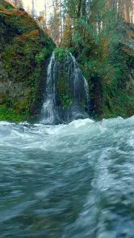 Serenity along the river's edge, where a small waterfall dances in the embrace of nature's symphony 😌 #river #riverscape #creek #waterfall #slowmotion #peace #relax #calm #dreamy #gopro #RiverRhapsody #NatureNirvana #WaterfallWhispers #god #naturelovers #oregonlife #pnwdiscovered #OregonWaterfalls #PNWExploration #RiverReflections #GoProAdventures #CreekMagic #SlowMotionNature #PacificNorthWestFlow #WaterfallWonders #CascadeCalm #GushingGopro #RiverGlow #ExplorePNW #OregonOutdoors 