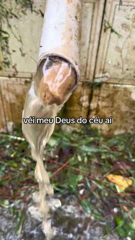 Bebendo agua de 💩💩🤦🏻‍♂️😰🫢🤢#saopaulo #alegria #sorrir #india #risada #piada #agua #sorrir 