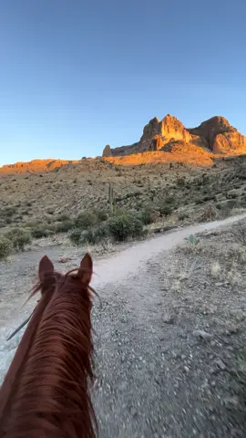 A bit of a longer video from tonight’s ride ❤️🌵🐴 #arizona #sunset #horses #horseriding #equineasmr #asmr #reddeadredemption #horseriding #mountains #trailriding #greengoldandblues 