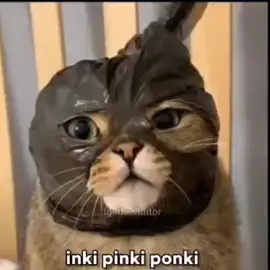 inki pinki ponki 😂 #funny #haha #kijkdit #donky #lol #sendittothem #viral #video #inkypinkiponky 