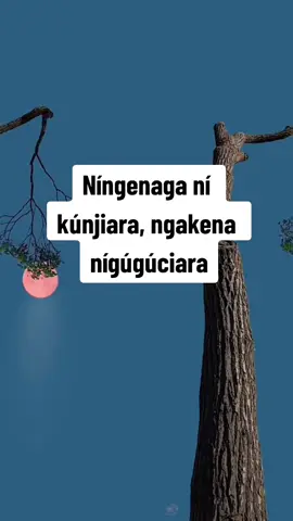#johnnjagi  #kikuyusongs  #kikuyulyrics  #lyrics  #kikuyutiktokers  #fyp 
