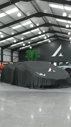 Some monsters hide under the bed. Others under the cover. The #Lamborghini #Huracan Evo #Spyder. #FYP #ForYourPage