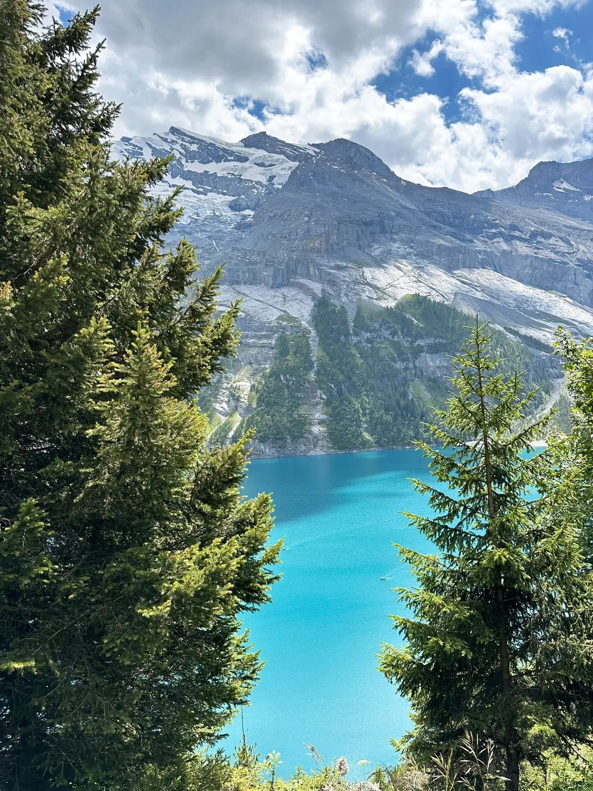 Take me back #oeschinensee #switzerland #lake #photo #greenery #hike #Hiking #oeschinenseelake #landscape #calm #nature 