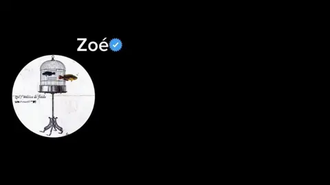 Soñé - Zoé #soñézoe #zoe #zoesong #lyricssong #fyp #viral 