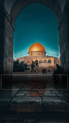 #عيسئ_الليث #الكيان_المؤقت  #عيسى_الليث  #جديد  #فلسطين @عيسى الليث 