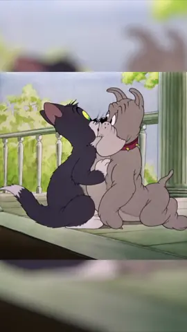 How’d a kiss lead to this?! #TomandJerry #FYP #animation #foryou #viral 