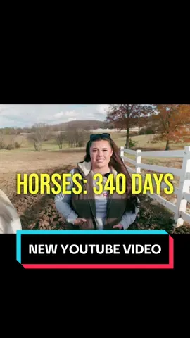 New YT Video! Watch the full video now!🐴🐮🐐 #farmanimals #foalingseason #kiddingseason #calvingseason #pregnantanimals 