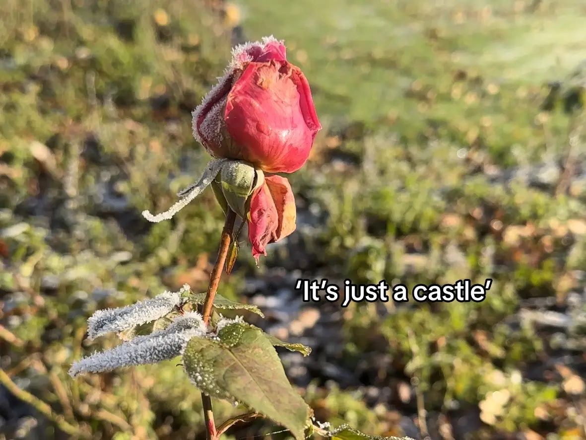 My brain chemistry was altered on this visit #fyp#trend#hesjustamanlorelai#hevercastle#anneboleyn#travel#explore#daysoutuk#exploreengland#kent 