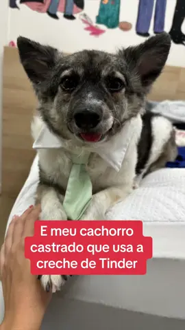 Elvis pegando mais macho que eu (sem meme infelizmente)