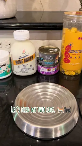 Hope everyone had a great Monday. 🤍 #feedmycat #feedingtime #feedmycat #feedmycatswithme #cathealth #cathealthandwellbeing #catsoftiktok #catlover #cat #catnutrition #feline #felinefriends #felinehealth #felinecommunity #catcommunity #catfriends #catmomlife #catparents #catmom #catlife #catlifestyle #spay #neuter #spayandneuteryourcats #nulo #bonebroth #bonebrothcats #bonebrothforpets #aryasit #monday #solidgoldpets #tikicat #tikicatafterdark #weruva #weruvacatfood #weruvapate #nulo #beefliver #meow #meowwolf #venision #quilegg #freezedried #raw #viralvideo #viralcats #foryourpage #fyp 