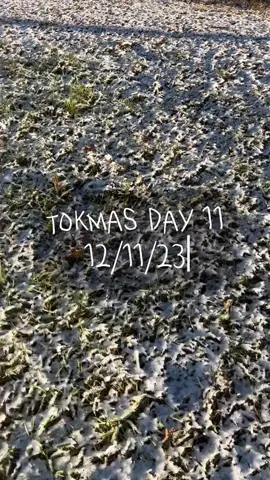 im so tired! and ive been anxious all day! hope yall are doing well 🫶🏻 #tokmas #Vlogmas #tokmasday11 #vlogmasday11 #Vlog #college #collegefinals #collegestudent #diml #collegediml #holidayvlog #fyp #foryoupage #viral 