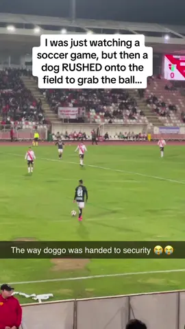 The helicopter tail at the end tho 🤣🤣🤣 #Pubity (Via: @ViralHog)