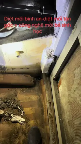 Diệt mối bình an-diệt mối tận gốc = công nghệ mồi bả sinh học