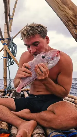 Stranded at sea catching my own food! #survival #fishinglife #fish #stranded #fyp #foryoupage 